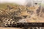 original 240729 Flyer Luxussafaris2025 de 2 1  Seite 3
